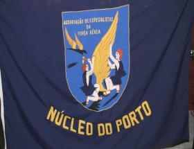 Ncleo do Porto presente no Dia do Combatente